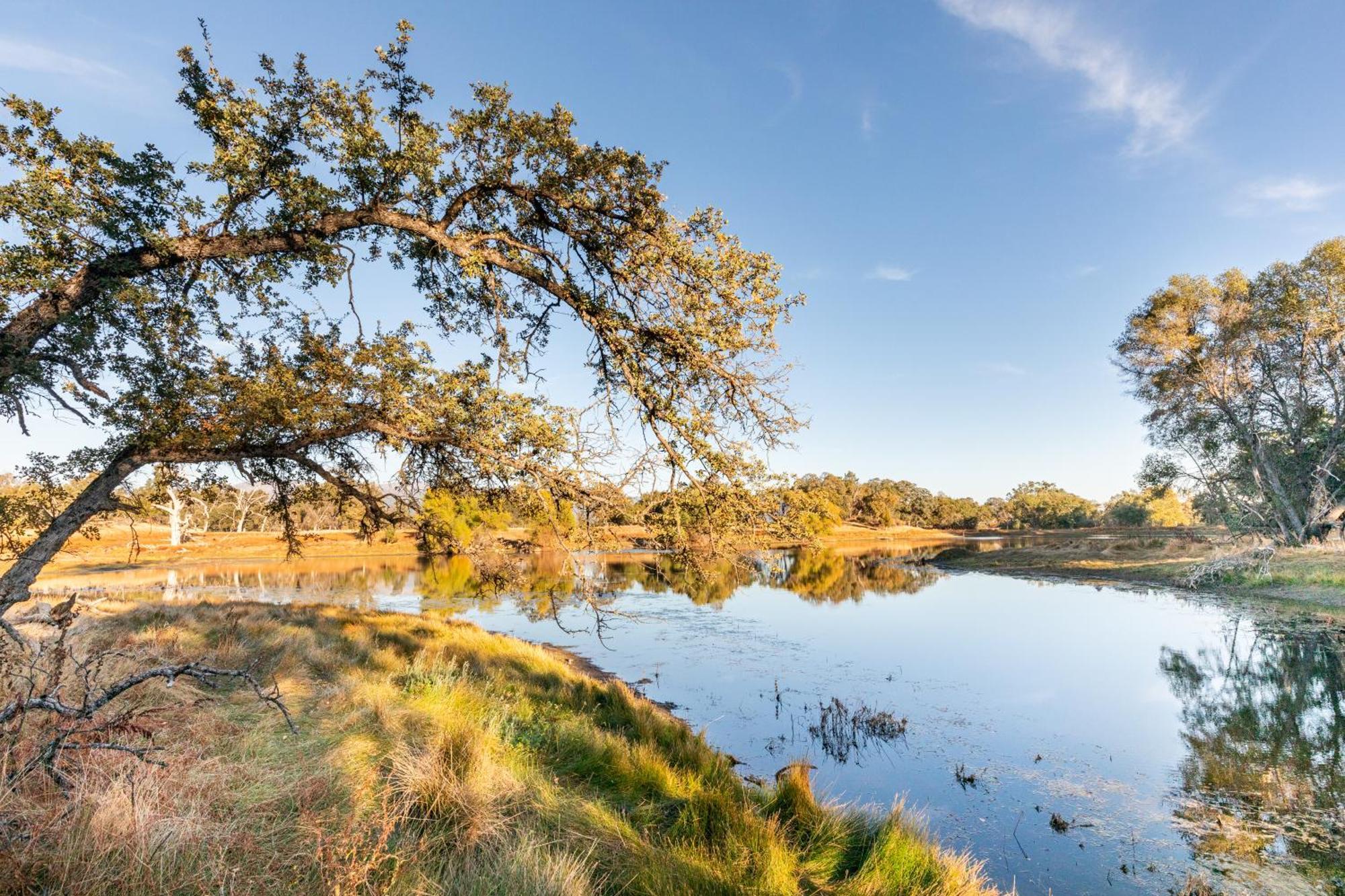 Rolling Oaks Ranch - 200 Acres Of Lakeside Beauty & Countryside Serenity Mariposa Exterior photo