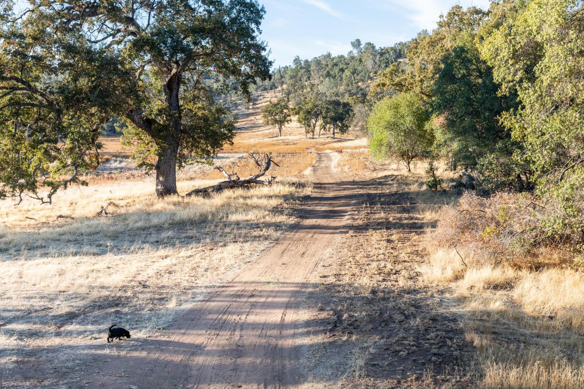 Rolling Oaks Ranch - 200 Acres Of Lakeside Beauty & Countryside Serenity Mariposa Exterior photo