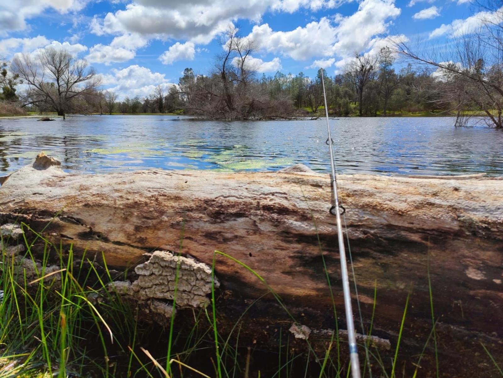 Rolling Oaks Ranch - 200 Acres Of Lakeside Beauty & Countryside Serenity Mariposa Exterior photo