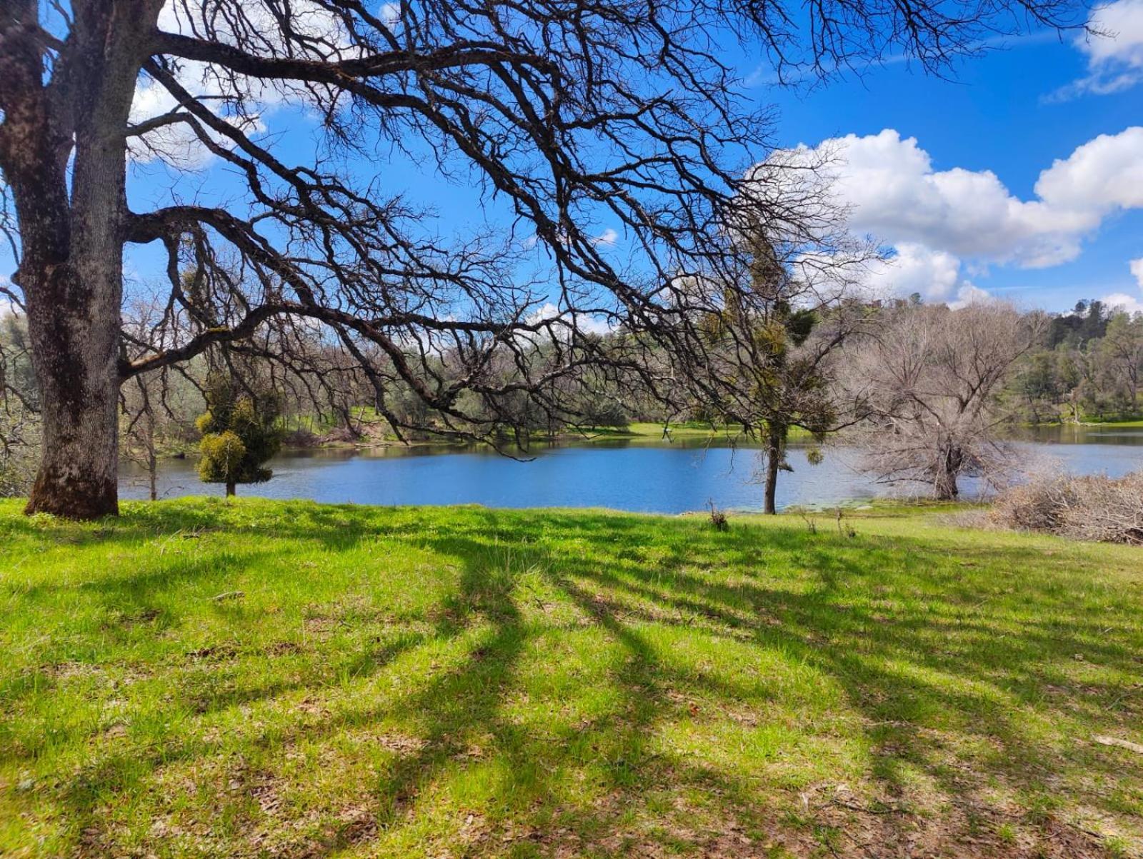 Rolling Oaks Ranch - 200 Acres Of Lakeside Beauty & Countryside Serenity Mariposa Exterior photo